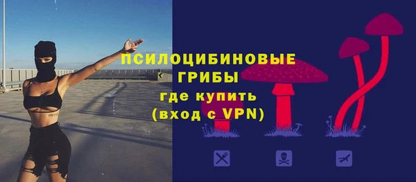 стаф Балахна
