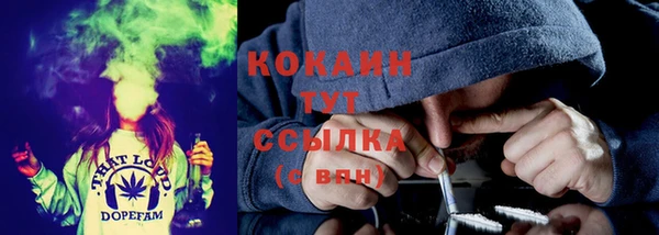 стаф Балахна